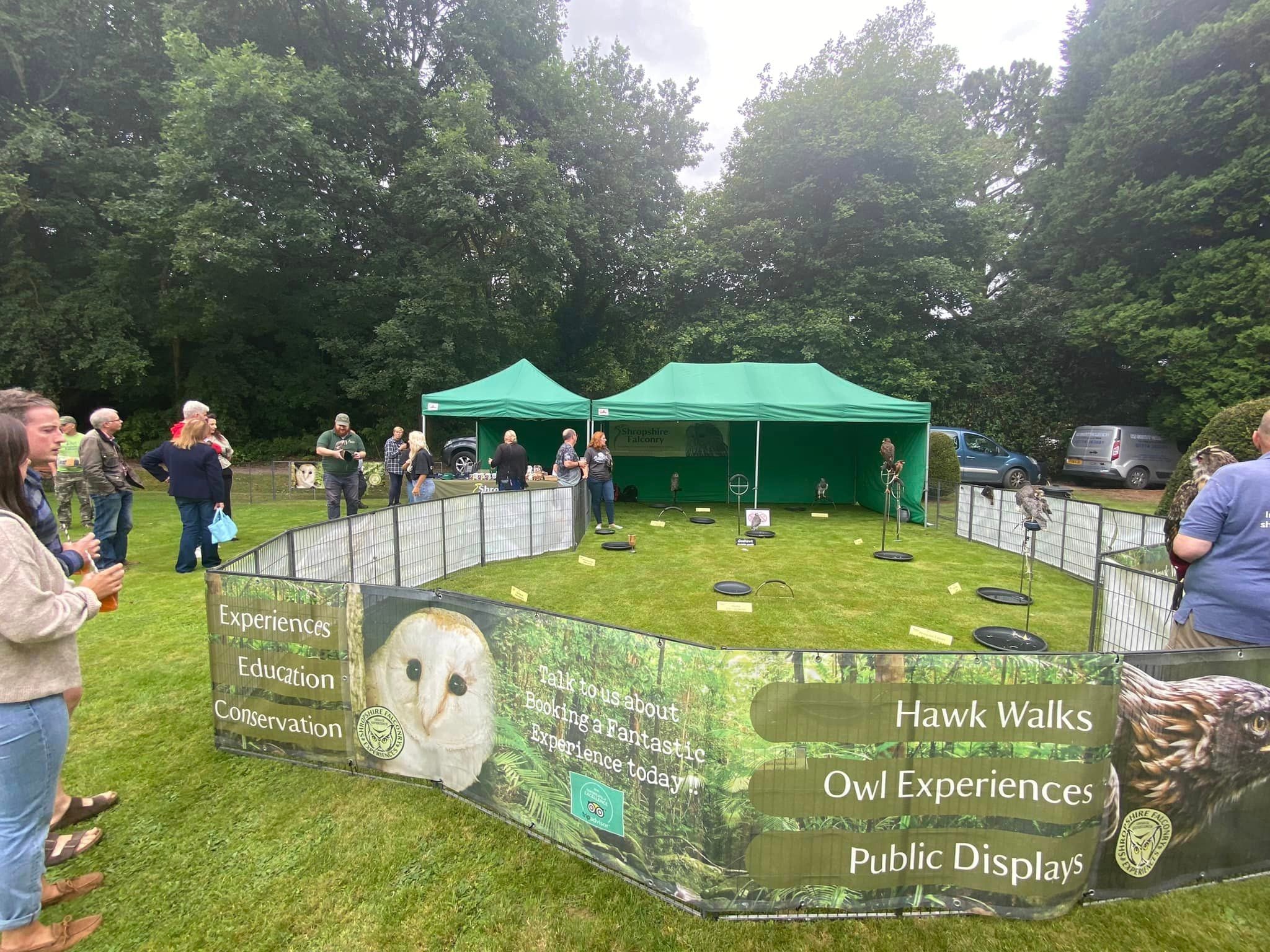 Static bird of prey display
