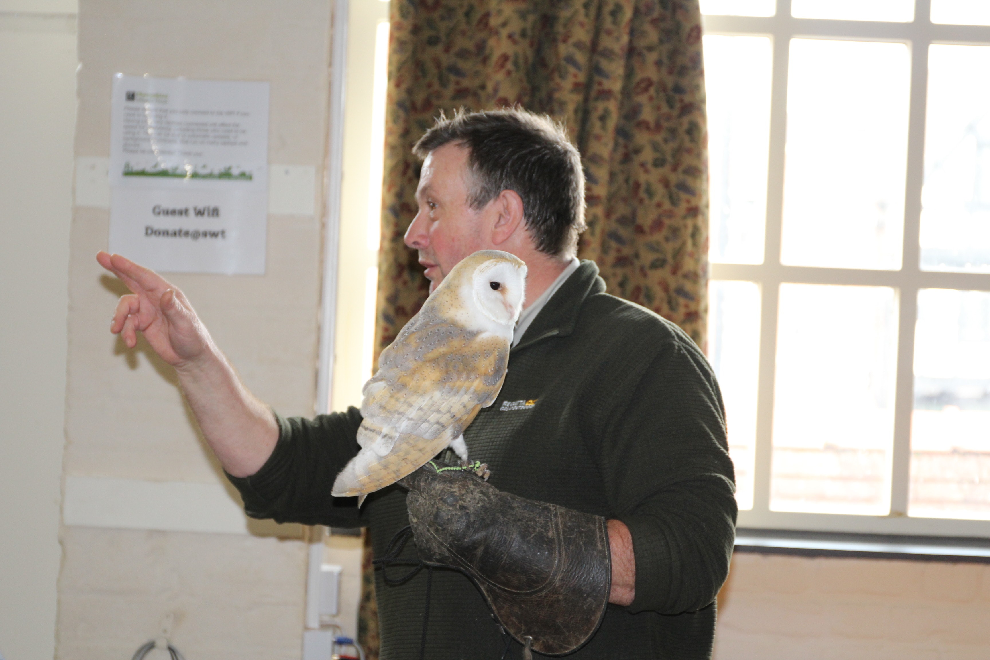 Barn owl presentation