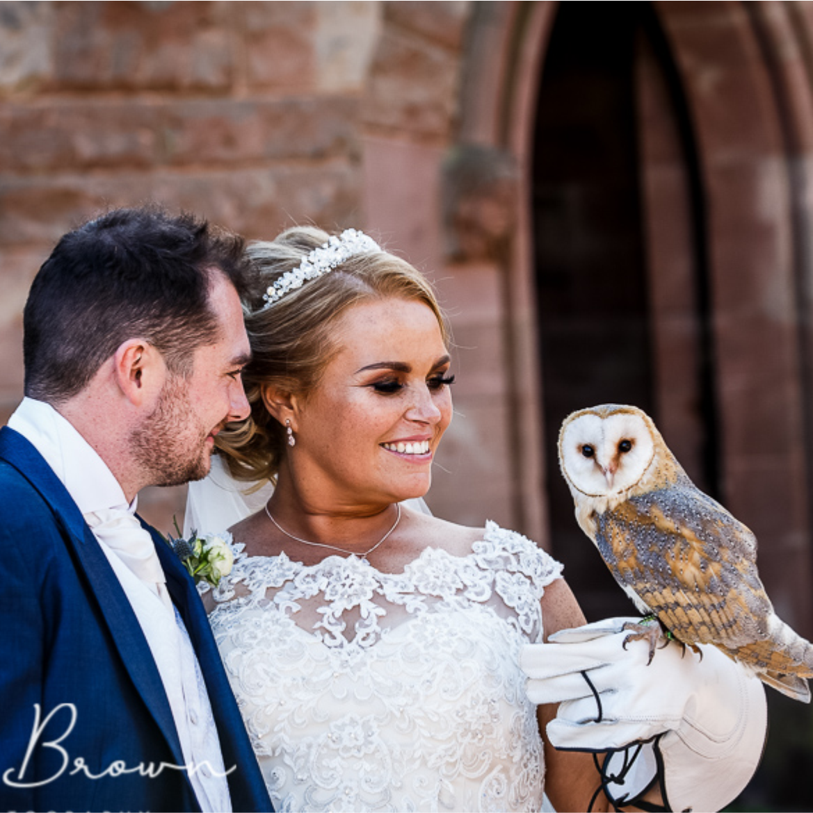 Bird of prey at a wedding event